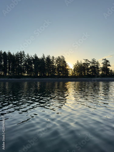 Sunset behind trees on an island