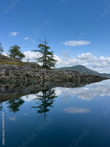 Trees, clouds and sky reflected in calm water along the coast