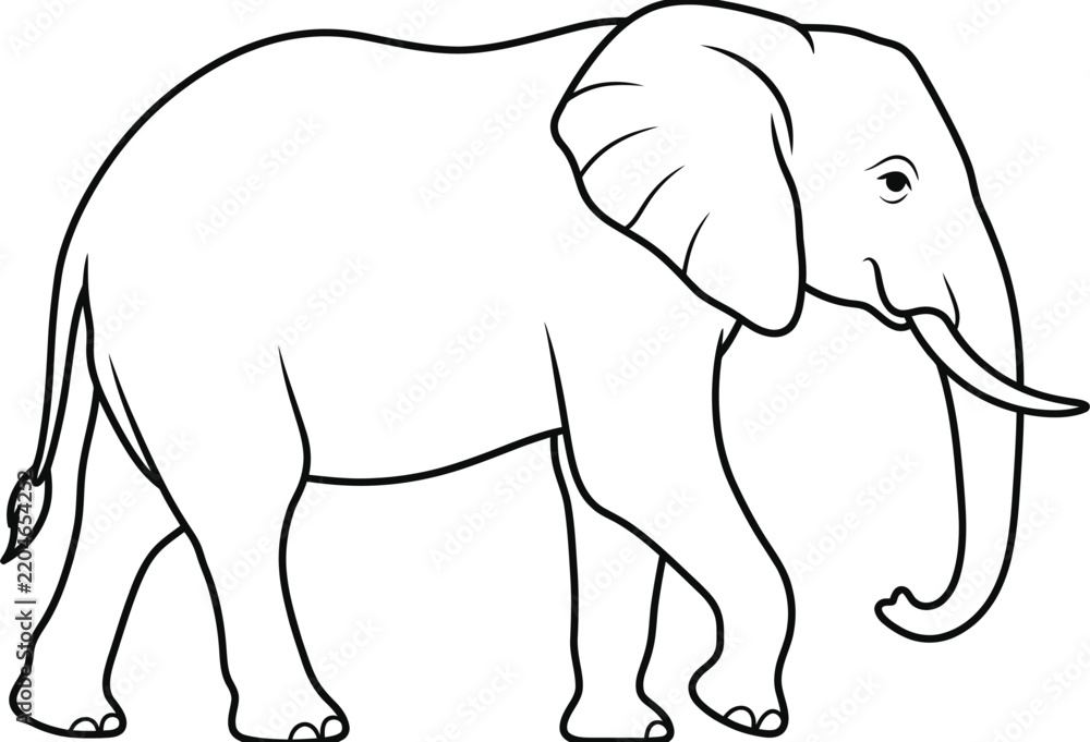 Fototapeta premium vector illustration of an elephant