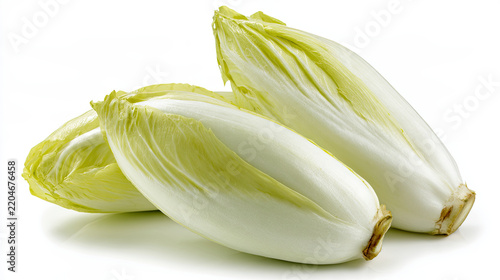 endive heads on white background