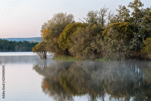 Forests and waters of the Valparaíso Reservoir, Zamora, Castile and León, Spain.