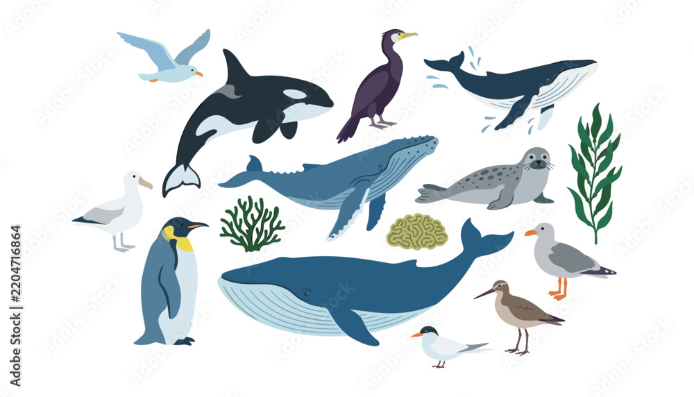 Fototapeta premium Marine animals and ocean birds flat vector icon set. Whales, orca, seal, penguin, seagulls, cormorant, coral, seaweed. Sea wildlife nature fauna concept.