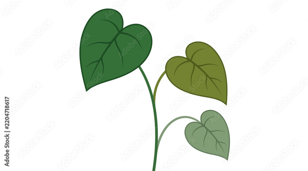 Obraz premium Green Heart Shaped Leaves Plant Stem Isolated Transparent Background