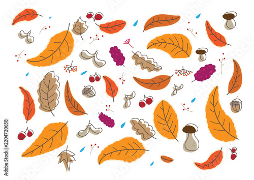 Autumn Elements Hand-drawing Vector Set
