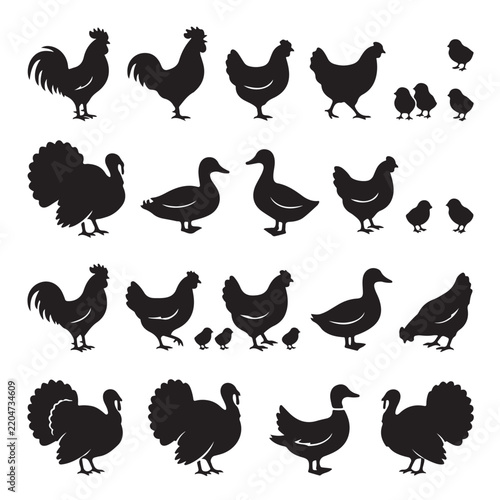 set of chicken