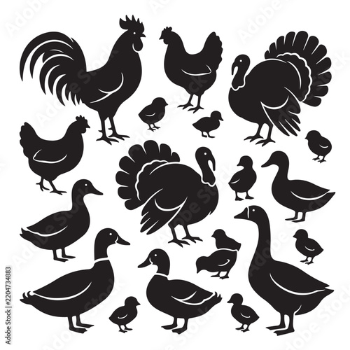 set of vector animals