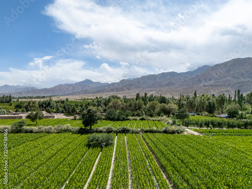 Photography neatly arranged green farmland at the foot of plateau mountains