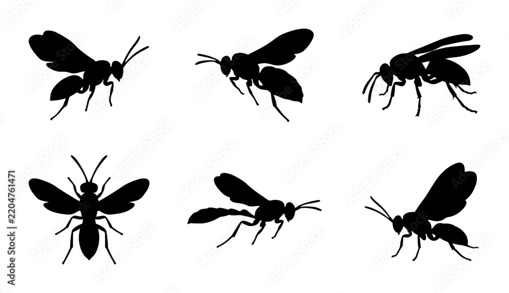 Fototapeta premium Insect Silhouettes: Wasp Vector Icons, Flying and Static Poses, Black and White