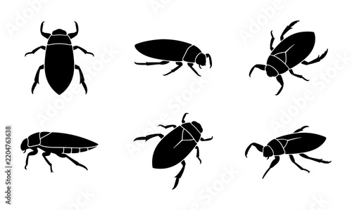 Six Black Silhouette Water Beetle Icons, Aquatic Insect Vector Graphics, Macro Insect Collection
