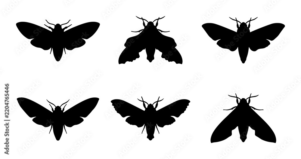 Fototapeta premium Six Black Moth Silhouettes, Insect Vector Icons, Nocturnal Flying Creature Graphics