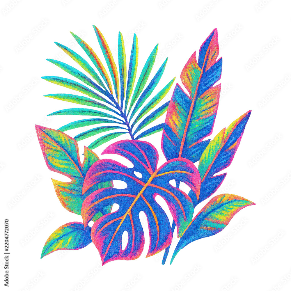 Obraz premium PNG Vibrant tropical leaves illustration