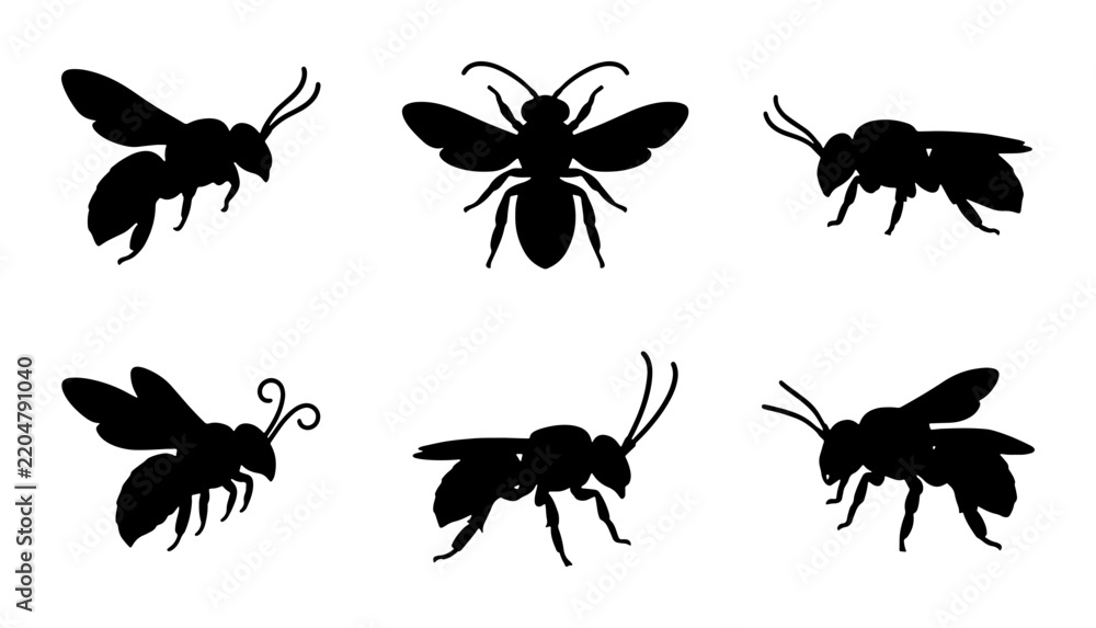 Fototapeta premium Six Black Silhouette Bees Vector Set, Insect Icons, Flying and Crawling Bug Graphics