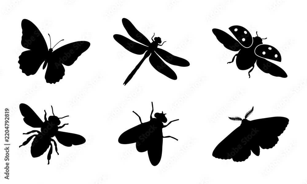 Fototapeta premium Insect Silhouettes Collection, Butterfly, Dragonfly, Ladybug, Bee, Fly, Moth Icons