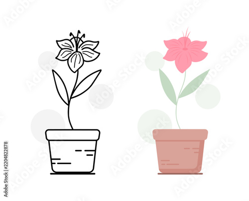 Amaryllis Flower in Pot Line Art and Flat Style Set