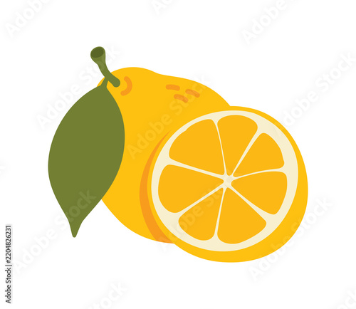 Flat Style Illustration of Lemon Fruit Isolated on White Background
