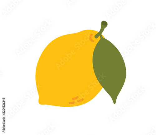 Flat Style Illustration of Lemon Fruit Isolated on White Background