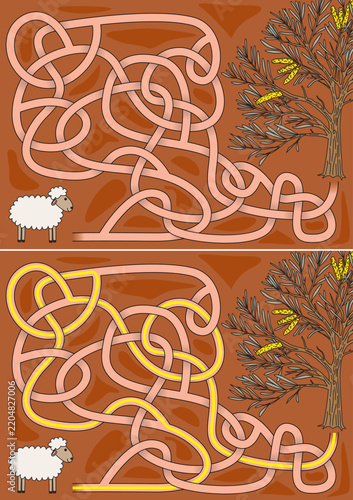 An educational children maze game vector illustration featuring a sheep finding its path to an Australian mulga tree with yellow flowers