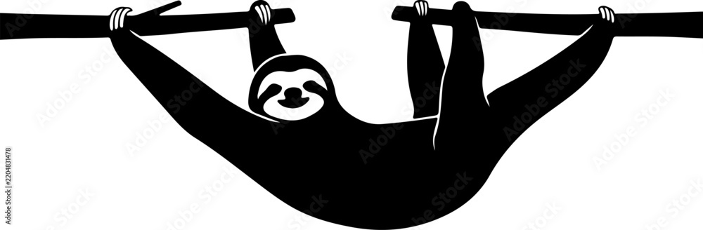Fototapeta premium Sloth Hanging Upside Down Between Two Tree Branches with Outstretched Arms