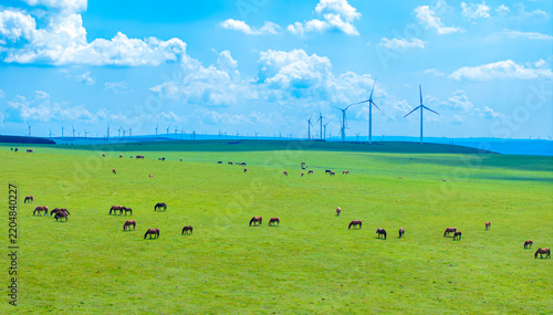 Horses grazing on grassland with wind turbines under cloudy sky