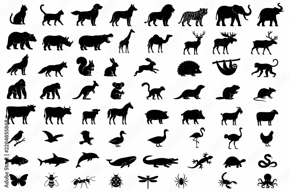 Fototapeta premium Animal Silhouette Vector Collection
