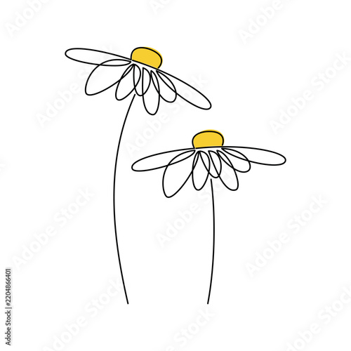 Hand drawn camomile. Vector daisy flower silhouette. Botanical icon. One line continuous drawing isolated. Floral print, card, poster, logo design. Minimal cartoon drawing.