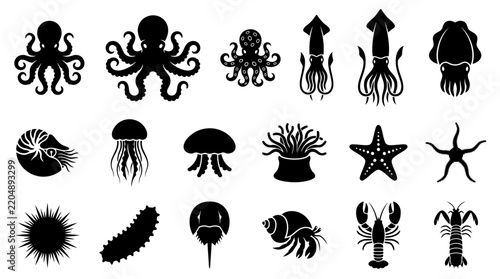 Black silhouette collection of marine life including octopus squid jellyfish and shellfish.