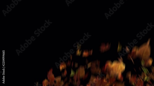 Vibrant Autumn Leaves Swirling in a Magical Windstorm.