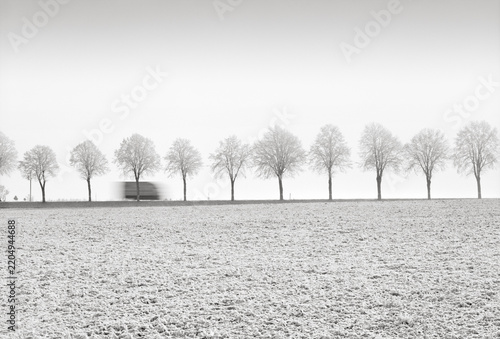 Winter Delivery