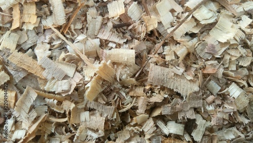 Close-up top view of clean natural wood shavings background pattern for carpentry, timber industry, or animal bedding texture