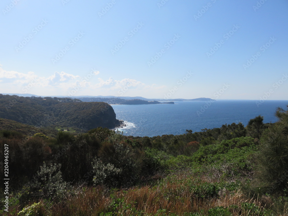 Obraz premium Coastal lookout over heath and a forested sandstone headland toward distant bays and hills along the Pacific coast of eastern Australia