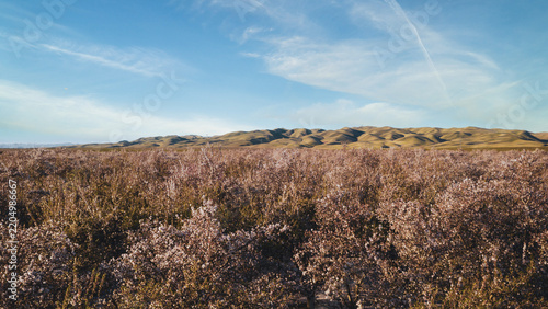 Aerial view of dry vegetation and rolling hills in California's Central Valley, showing drought-stressed terrain and seasonal dryness across the inland landscape.