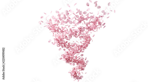 Soft pink cherry blossom petals swirling in the air isolated on transparent background png.