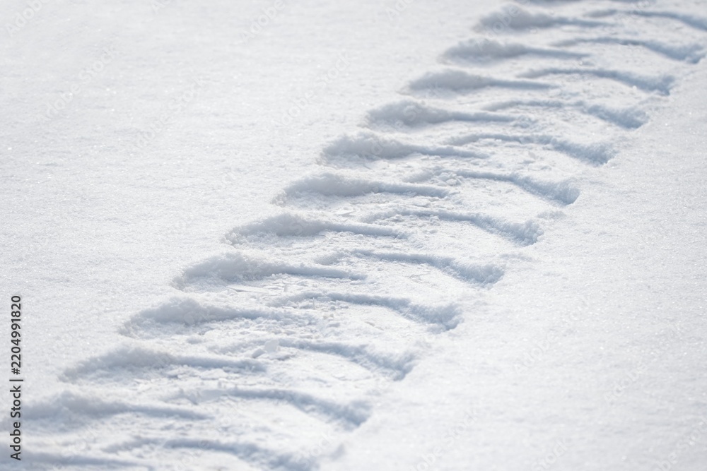 Obraz premium Car tracks in the fresh snow