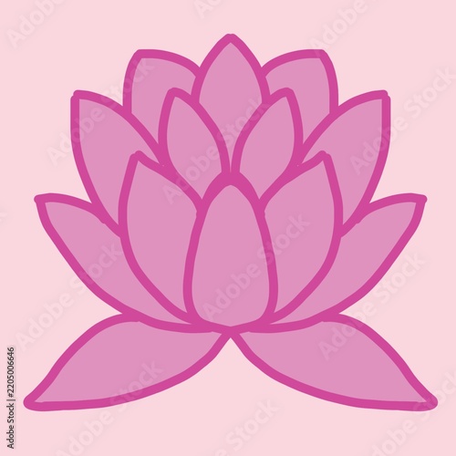 Pink Lotus Flower Illustration