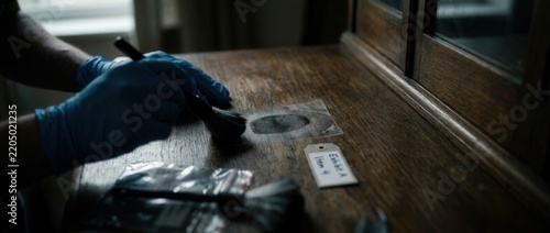 Forensic scientist dusting for fingerprints on wooden surface with evidence bags and brush