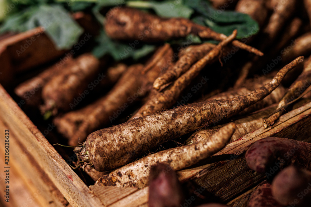 Fototapeta premium Freshly harvested parsley roots in wooden box at market