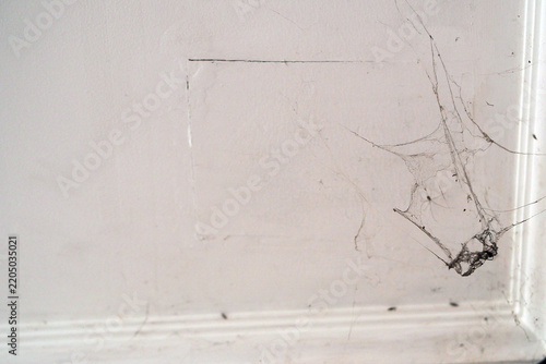 close-up view of dusty spider webs clinging to the corner of a dirty white wall