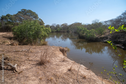 Bild auf Leinwand Kafue national park