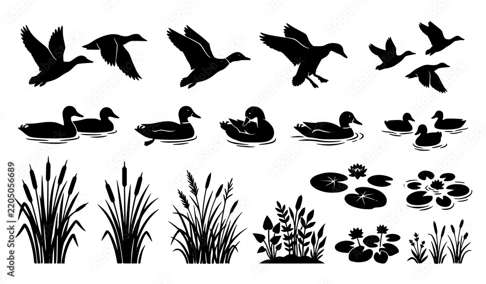Fototapeta premium Pond Wildlife Black Silhouette Collection with Flying Ducks Floating Birds Water Plants Reeds and Aquatic Vegetation