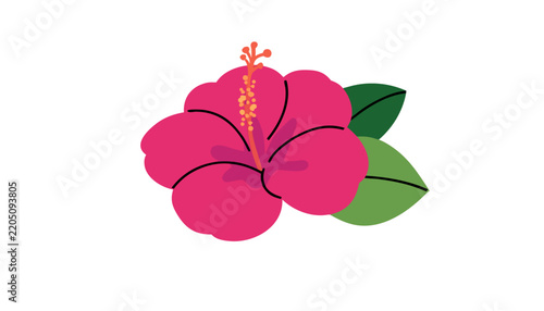 Hibiscus flower illustration a vibrant pink and green vector design