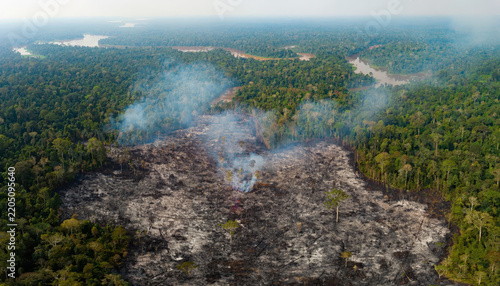 A forest area affected by a large wildfire with smoke rising.