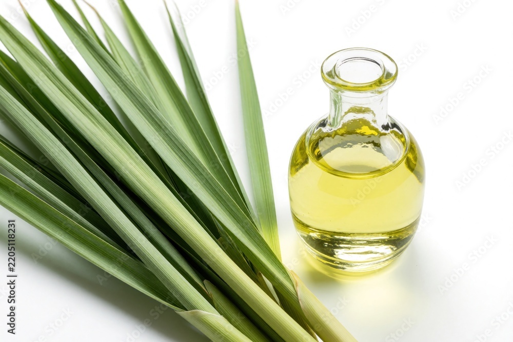Naklejka premium Glass bottle with yellow lemongrass essential oil next to fresh green herb leaves. Organic liquid extract for aromatherapy, spa treatment, natural skincare. Healthy plant ingredient for wellness,