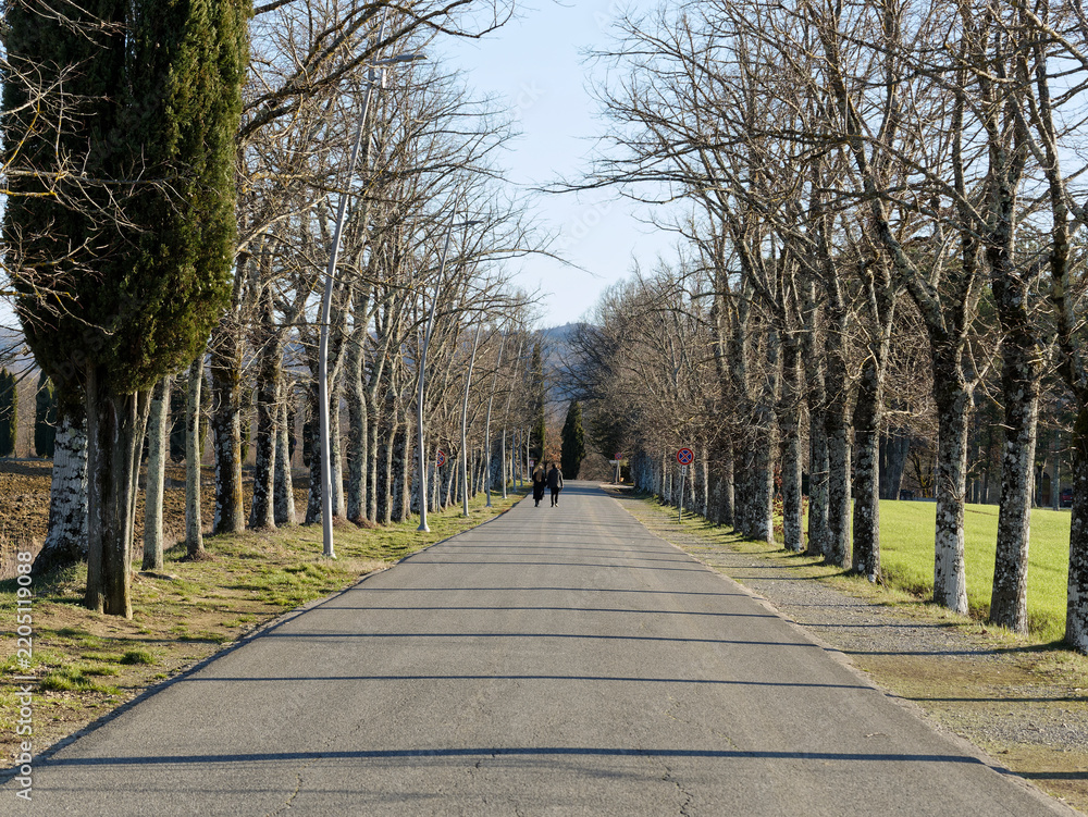 Obraz premium Beautiful view of the countryside around Siena in Tuscany