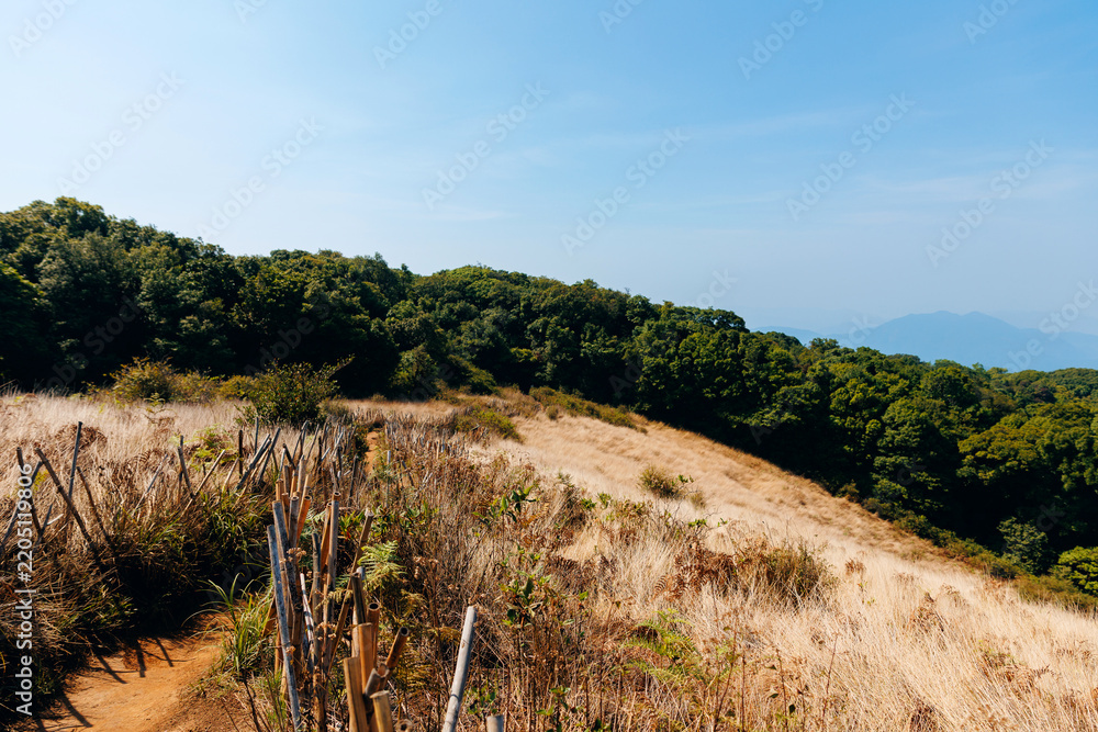 Obraz premium Dry hillside trail View point of National Park Doi Inthanon Chiang Mai, top highest mountain of Thailand.