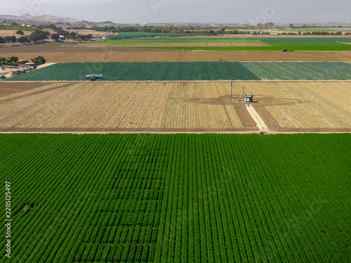 Aerial view showcases vast agricultural crop fields divided into geometric parcels with rows of plants, rural dirt pathways, and farming infrastructure in California.