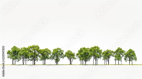 Panoramic view of a diverse green treeline isolated on a pure white background, ideal for architectural visualization, landscape design, and nature-themed graphic projects.