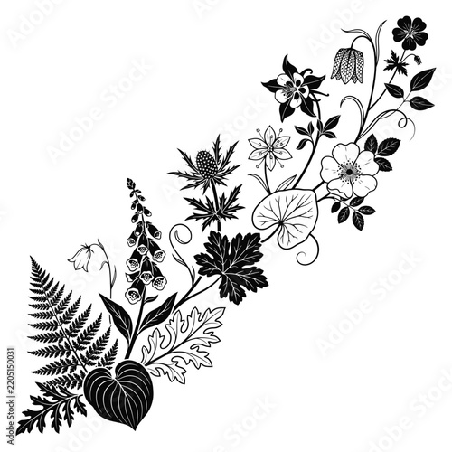 Elegant Black and White Botanical Illustration Featuring Wildflowers Ferns and Foliage in a Decorative Floral Composition for Design Projects
