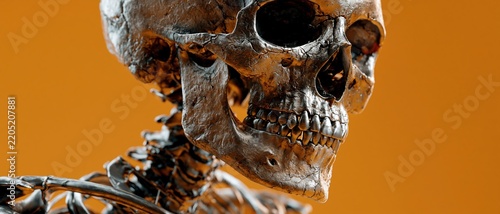 Metallic Human Skull Close Up Profile