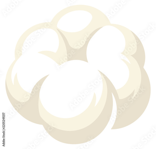 Fluffy cotton ball or flower blossom vector illustration