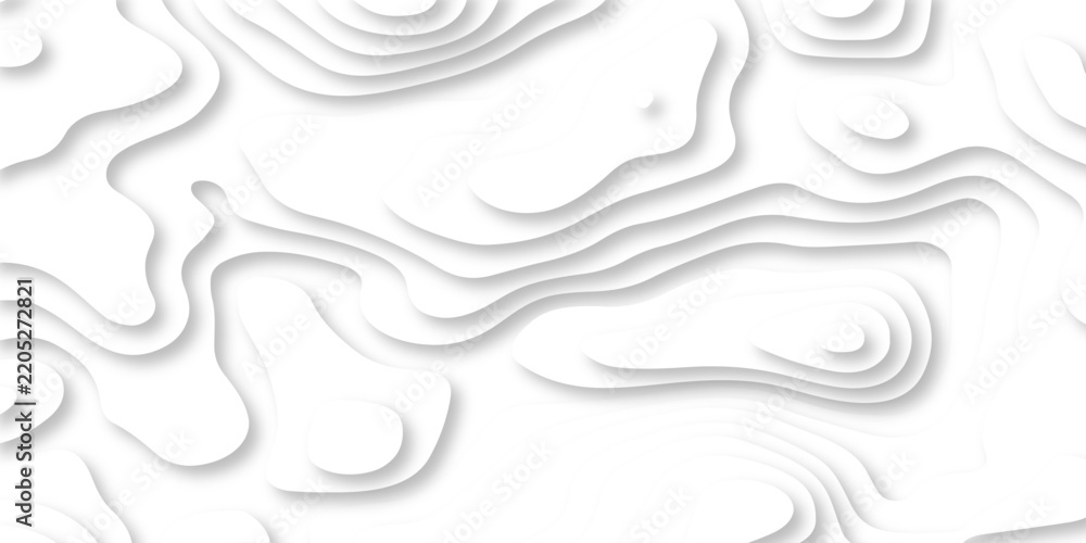 Obraz premium Vector white paper transparent minimal light element shadow landscape wave element curve graphic papercut design. abstract carve wave line luxury papercut background.
